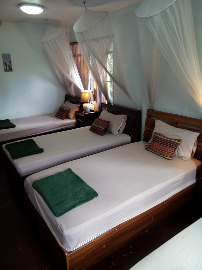 Twin House @ Tapae Vandrehjem Chiang Mai Eksteriør billede