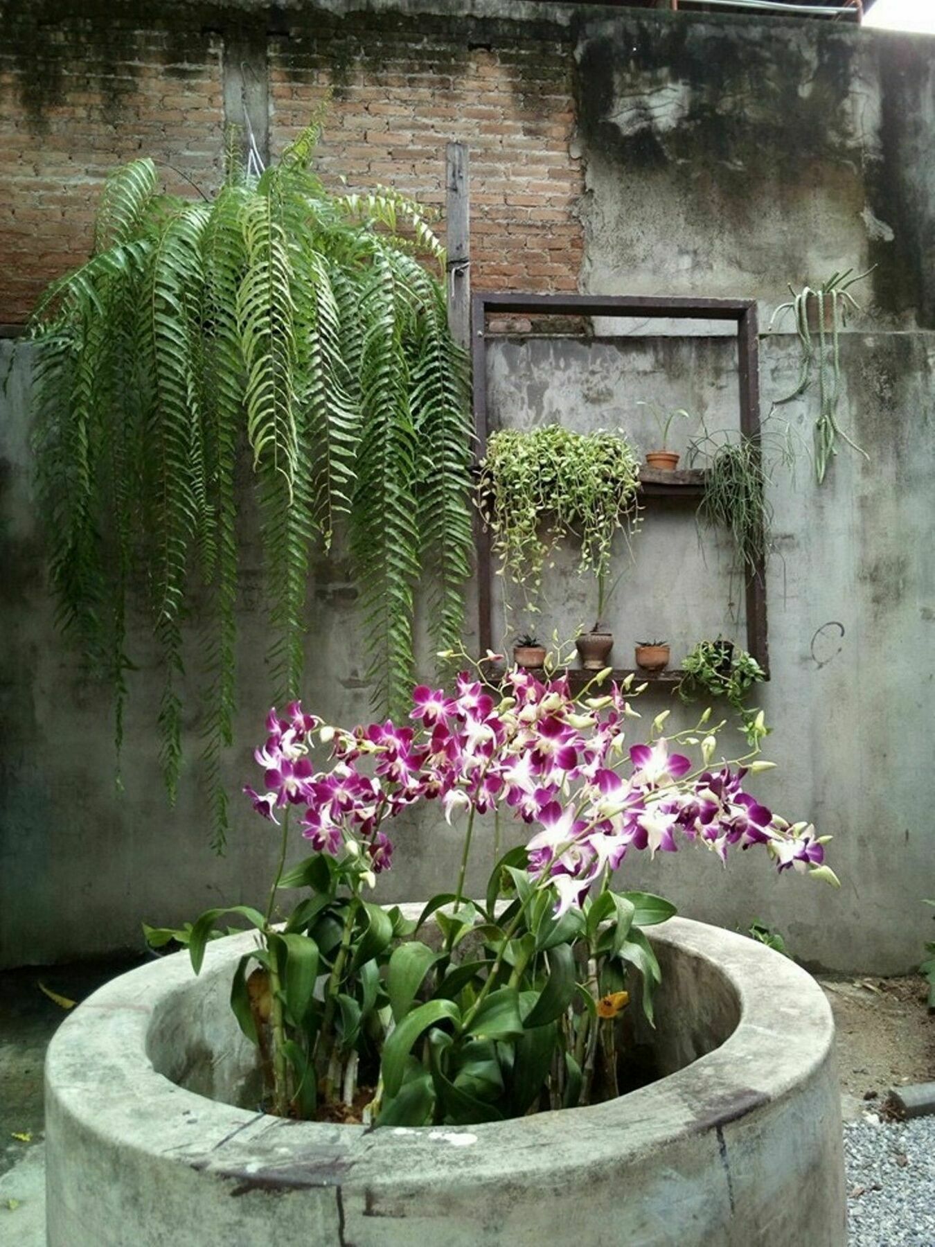 Twin House @ Tapae Vandrehjem Chiang Mai Eksteriør billede